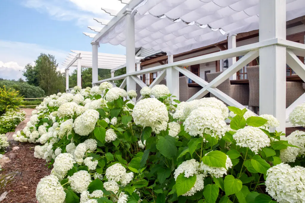 Luxury Destination Wedding in Finland