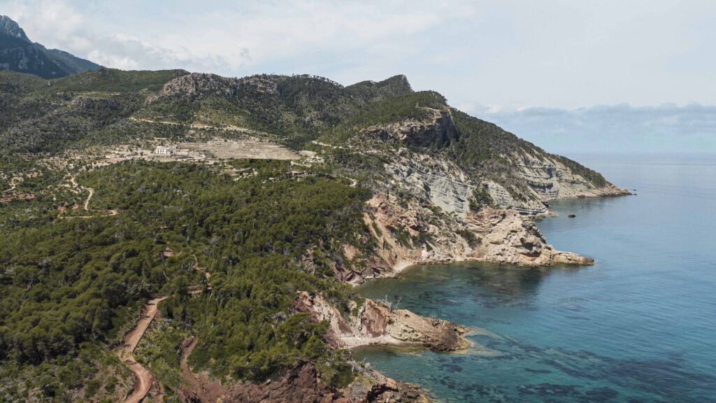 Wedding Experience in Mallorca